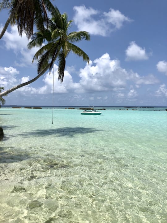 Strand Fihalhohi Maldives