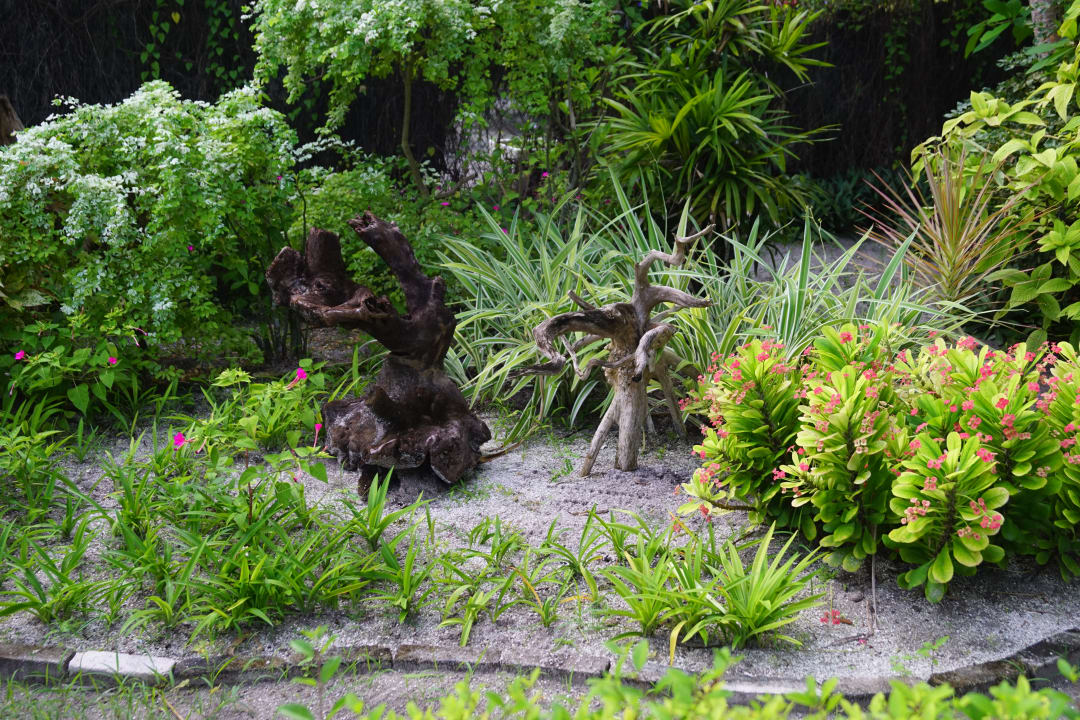 Gartenanlage Adaaran Select Meedhupparu Island Resort - Premium All Inclusive