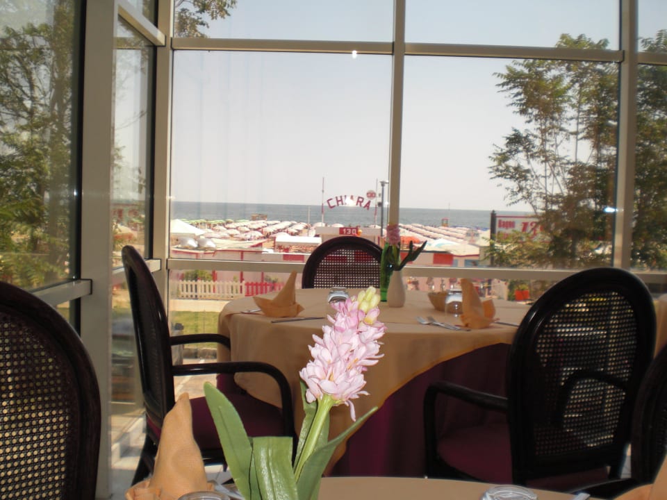 Hotel Regina Rimini Vacanze Rimini Urlaub  Hotel Regina