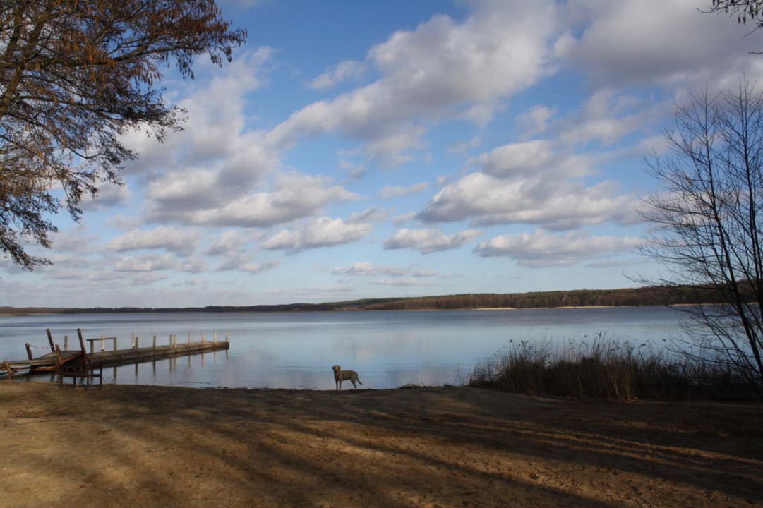 Am Großen Labussee Familotel Borchard's Rookhus am See