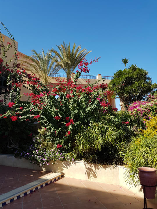 Gartenanlage Steigenberger Coraya Beach - Adults only