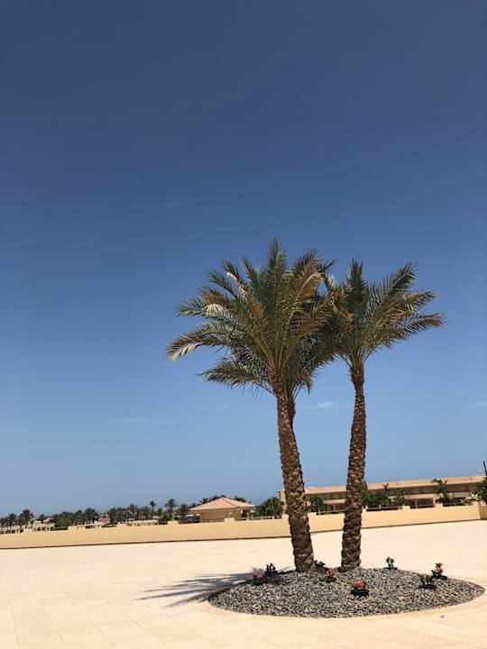 Gartenanlage Cleopatra Luxury Beach Resort Makadi Bay - Adults only