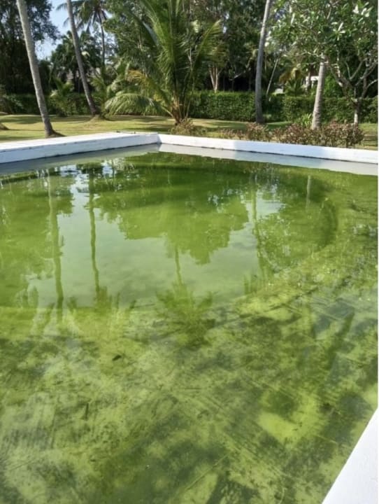 Gartenanlage Twin Lotus Resort and Spa (Adult Only / November to April)