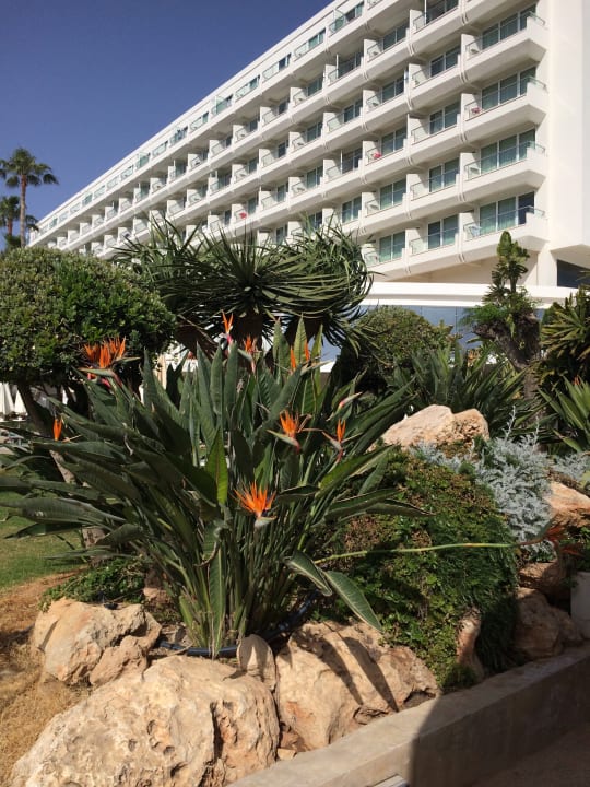 Außenansicht Hotel Sunrise Beach