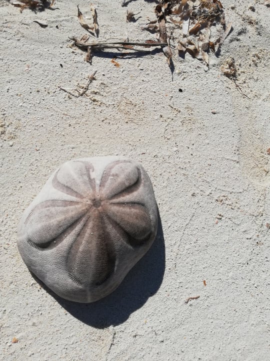 Strand Sol Varadero Beach