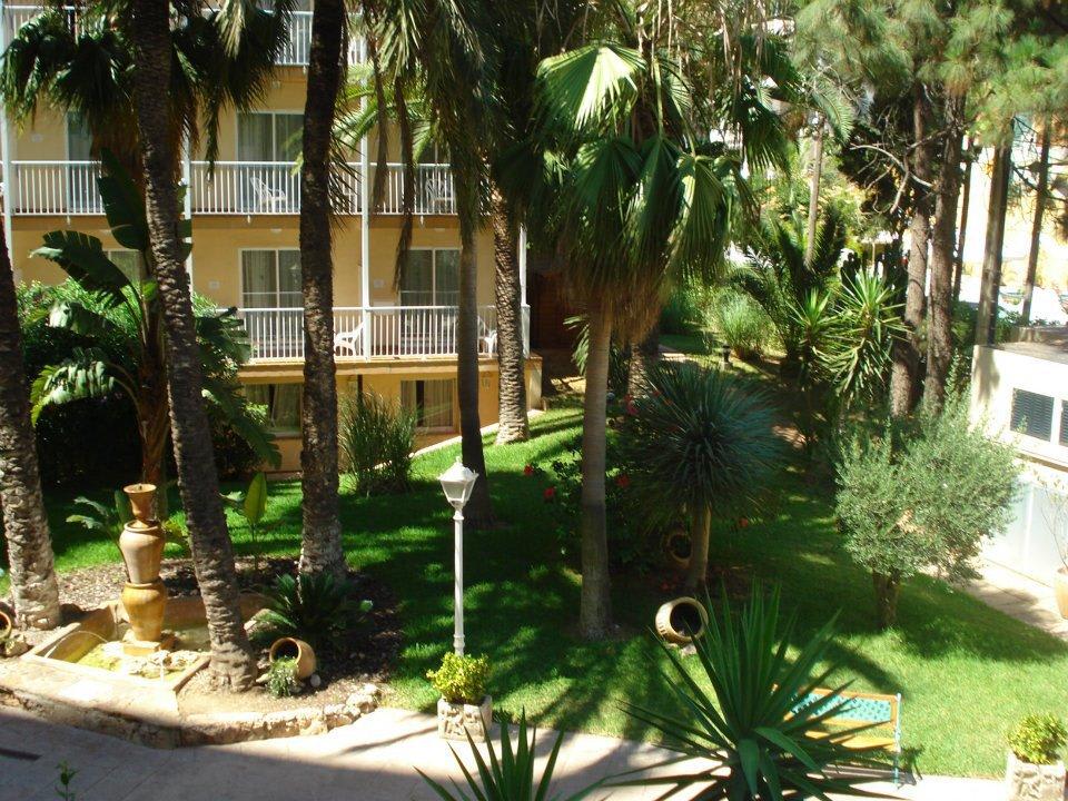 Ausblick vom Zimmer Valentin Reina Paguera