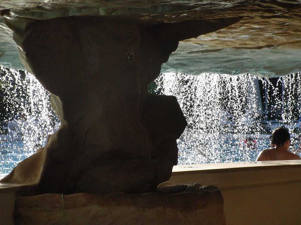 Blick aus der Poolbar Mahdia Beach & Aquapark