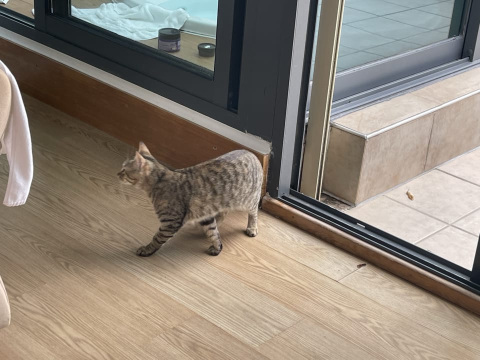 Zimmer Limak Limra Hotel & Resort