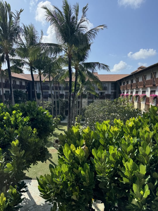 Gartenanlage Hard Rock Hotel Bali