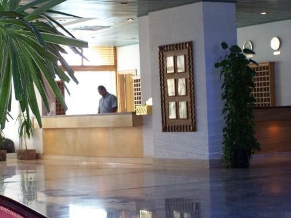 Rezeption Desert Rose