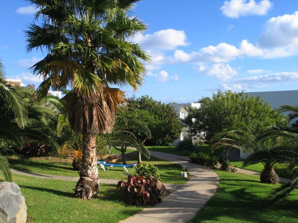 Gartenanlage allsun App.-Hotel Esquinzo Beach