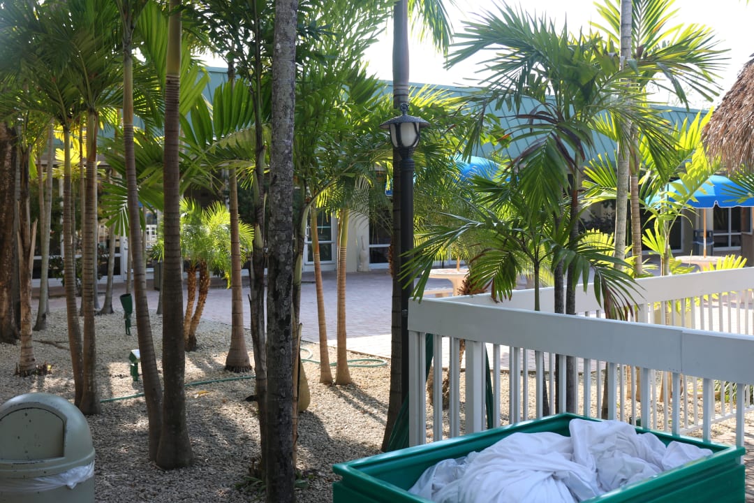 Blick in den Innenhof Floridian Hotel Of Homestead