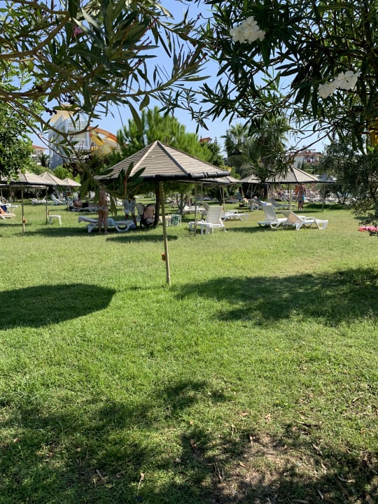 Gartenanlage Hotel Defne Defnem