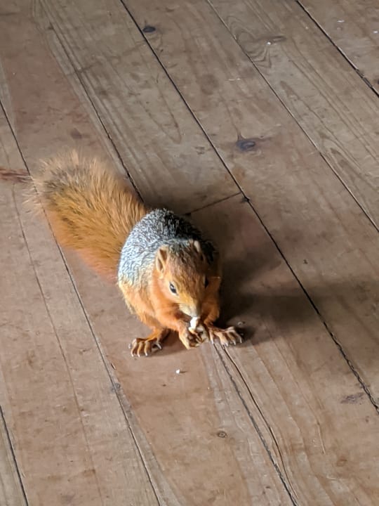 Sonstiges Shimba Hills Lodge