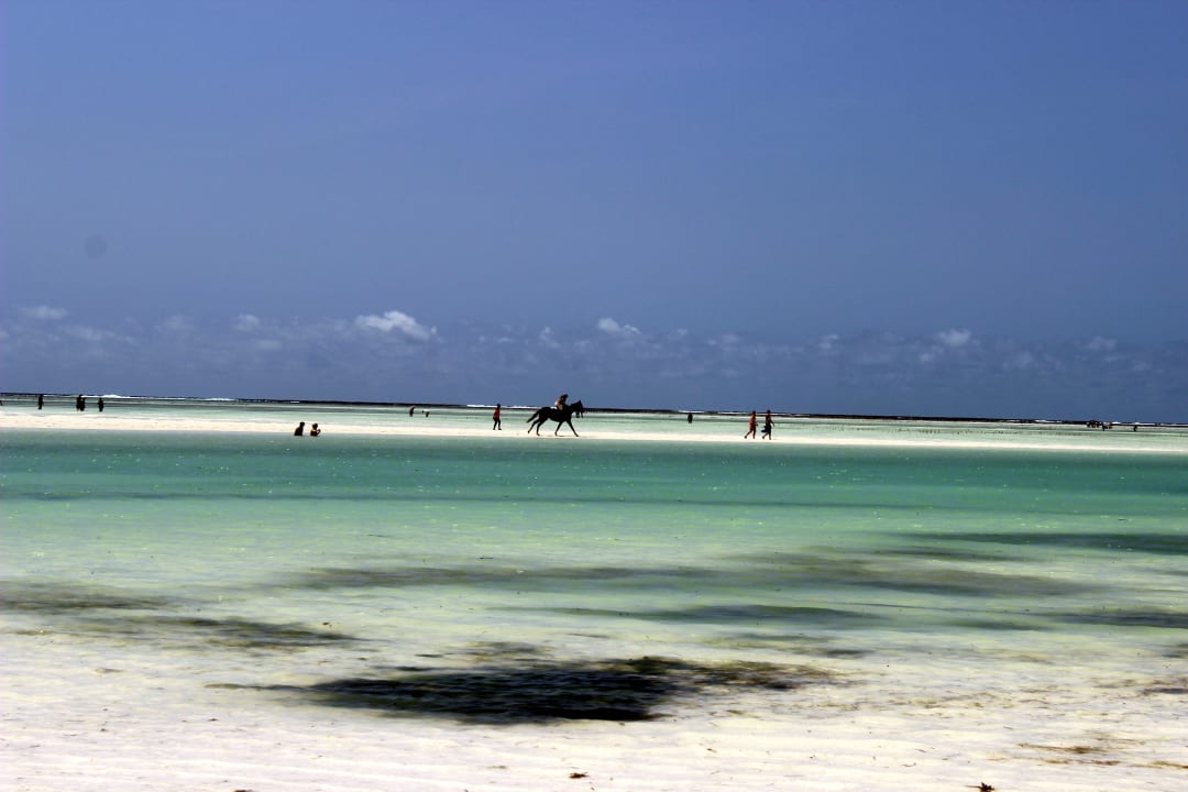 Sandbank vorm Hotelstrand... Neptune Pwani Beach Resort & Spa