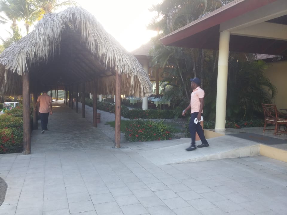 Sonstiges Hotel Grand Palladium Palace Resort, Spa & Casino