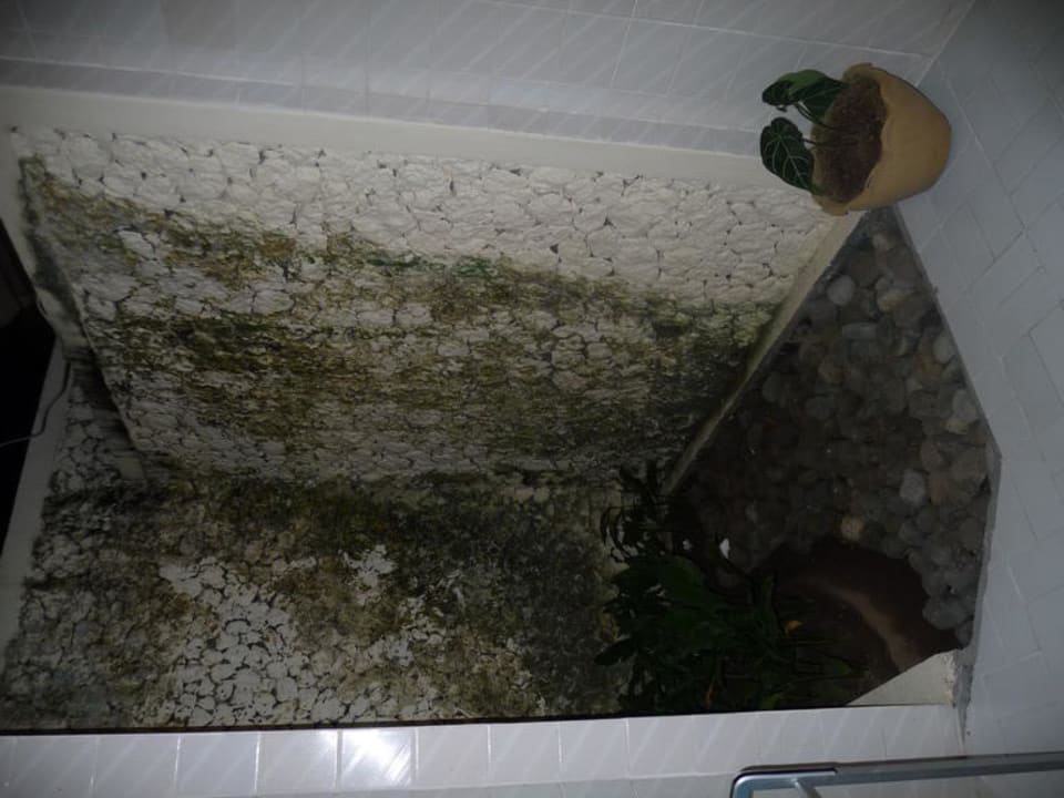 Offenes Badezimmer Puri Bagus Lovina