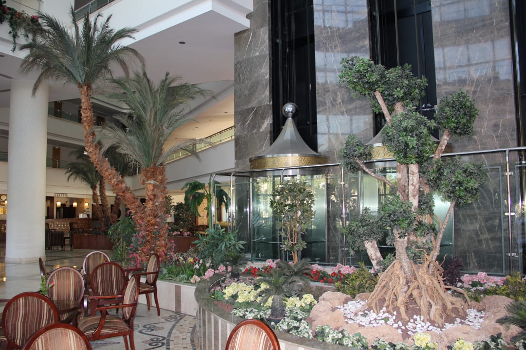 Lobby Saphir Resort & Spa