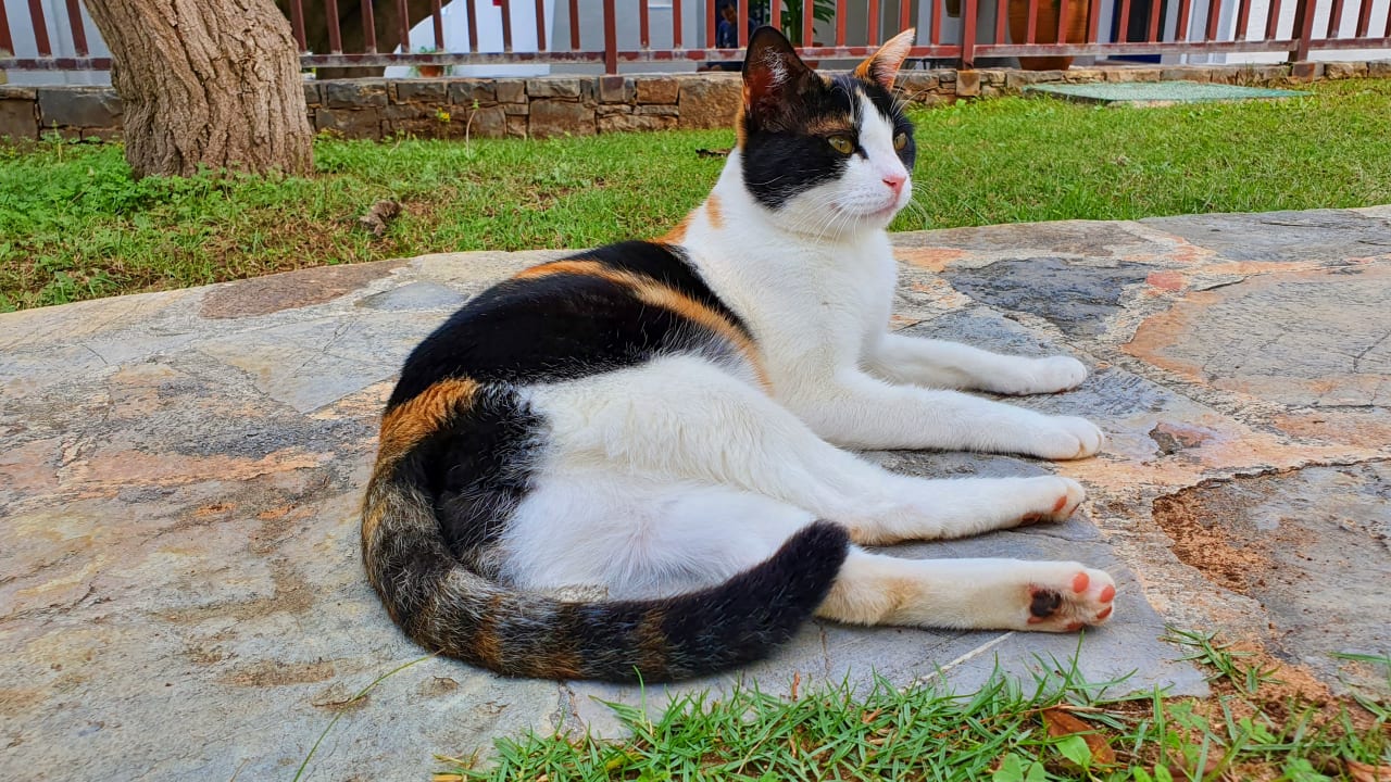 Sonstiges Creta Maris Resort