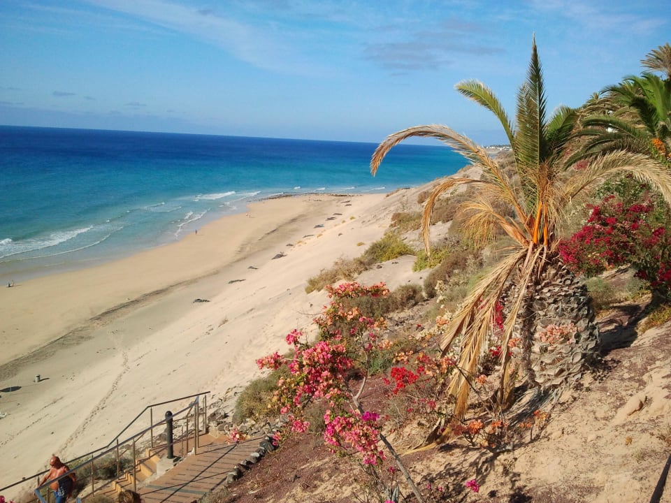 Der wunderschöne Strand SBH Club Paraiso Playa