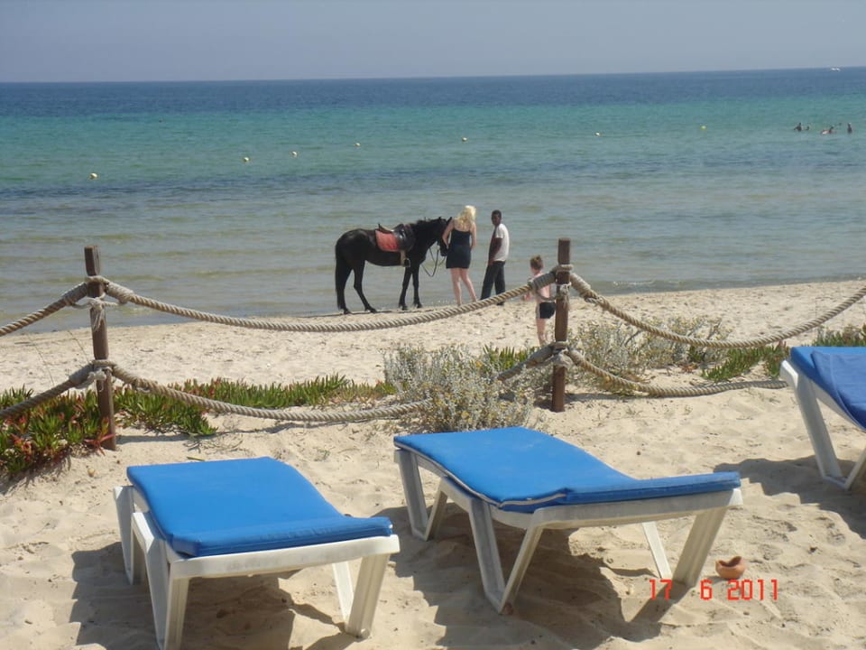 Ausblick von den "Cabanas" Calimera One Resort Jockey