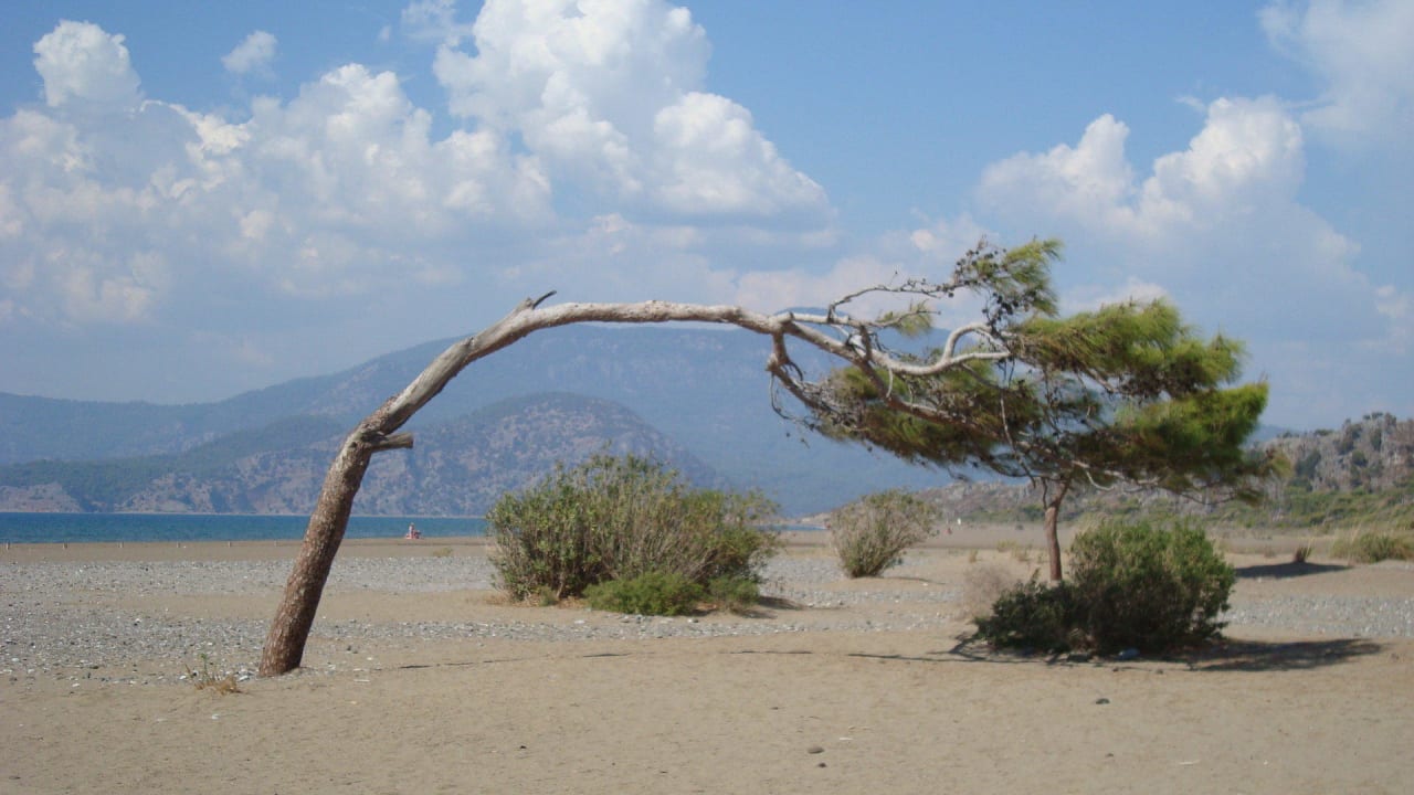 Strand Dalyan Basar Hotel