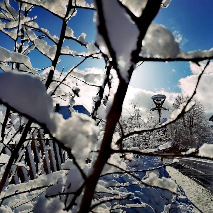Ausblick Parkhotel Waldlust