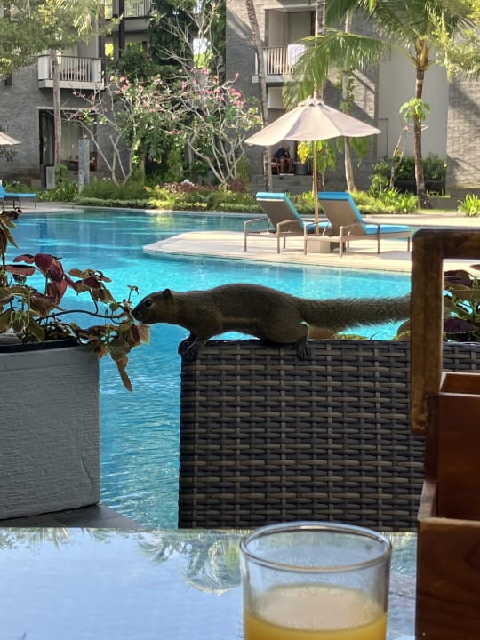 Sonstiges Courtyard by Marriott Bali Nusa Dua