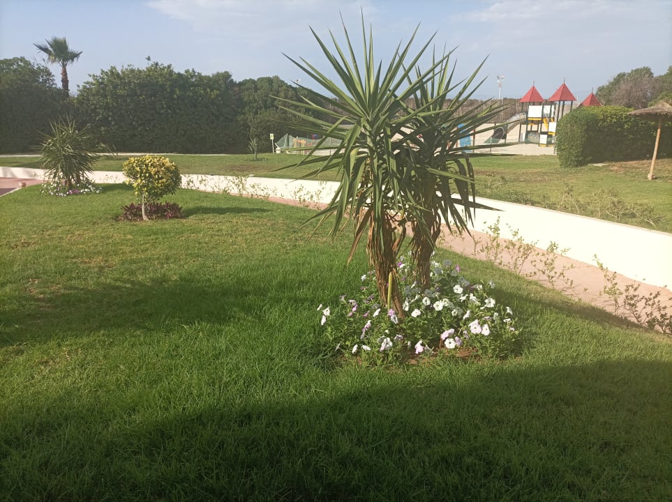 Gartenanlage Sahara Beach Aquapark & Resort