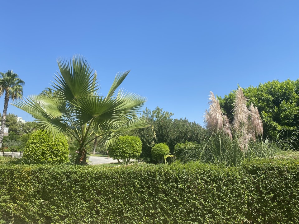 Gartenanlage Bella Resort & Spa