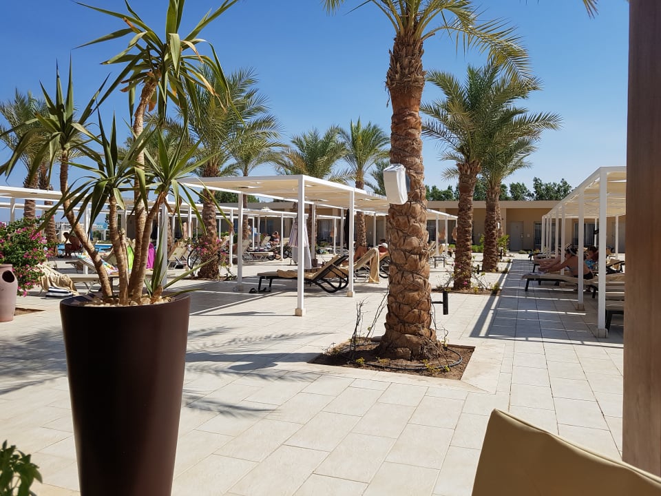 Sonstiges Steigenberger Makadi Hotel - Adults only