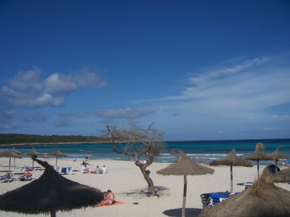 Traumhaft - was will man mehr Aparthotel Playa Dorada