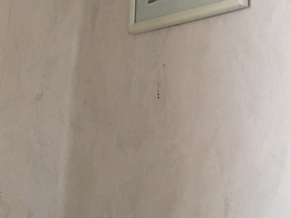 Zimmer Ferienhaus Mieke Bakker