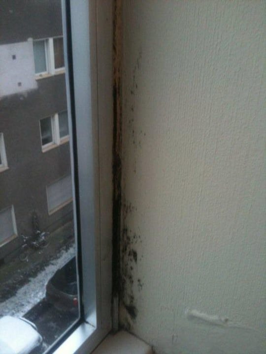 Schimmel Hotelzimmer Hotel Leonet