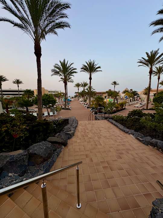 Gartenanlage Iberostar Waves Gaviotas Park