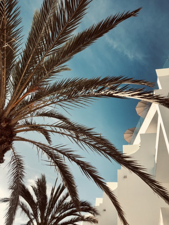 Gartenanlage Hotel Riu Palace Jandia