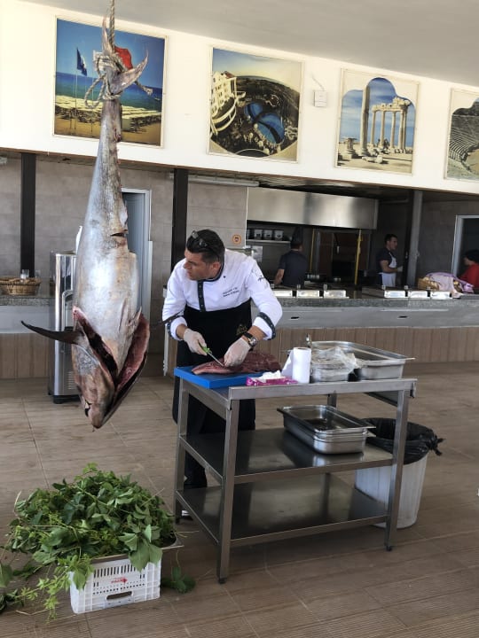 Gastro Roma Beach Resort & Spa 16+ Adult Only