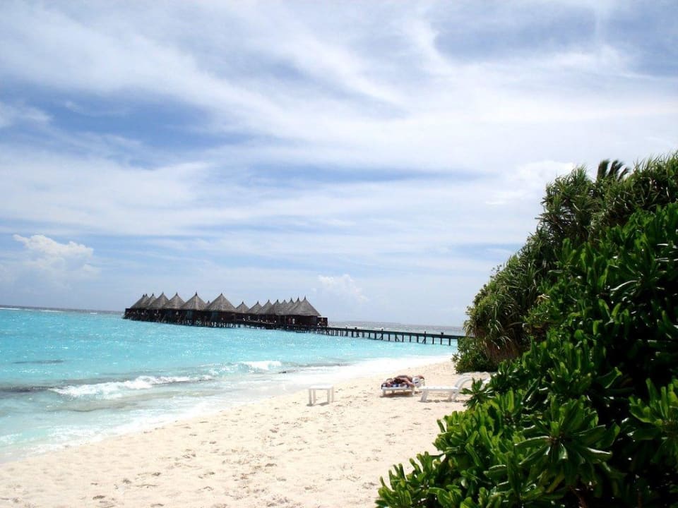 Strand mit Wasserbungalows im Hintergrund Angaga Island Resort
