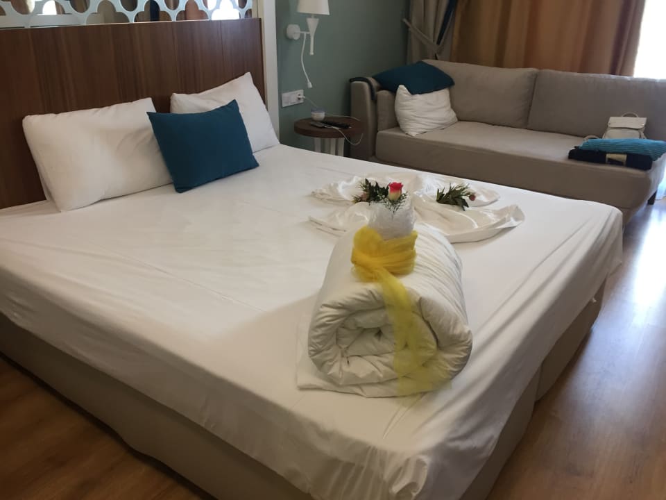 Zimmer Seashell Vega