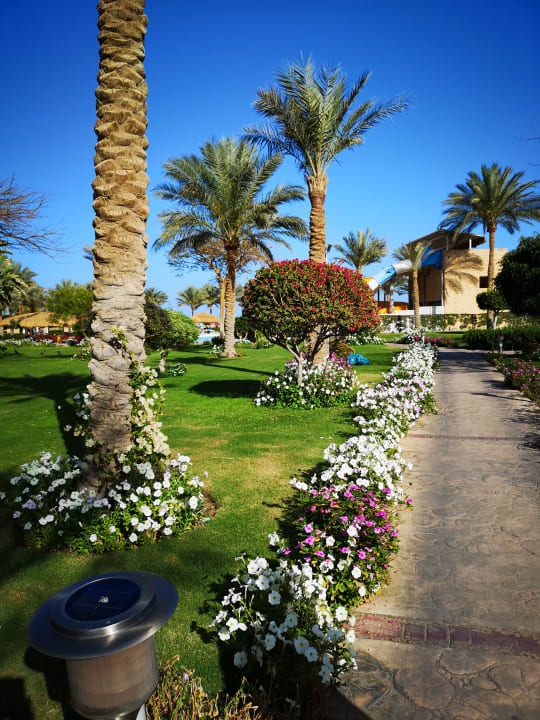 Gartenanlage Sentido Caribbean World Soma Bay