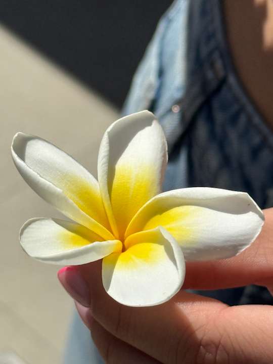 Gartenanlage High Beach Resort