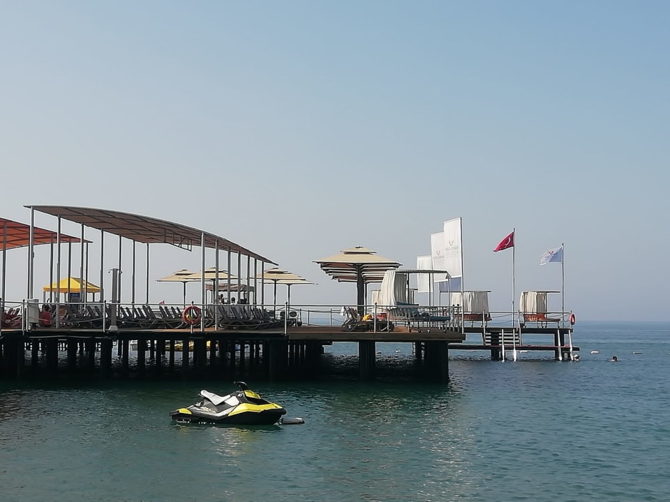 Ausblick Papillon Ayscha