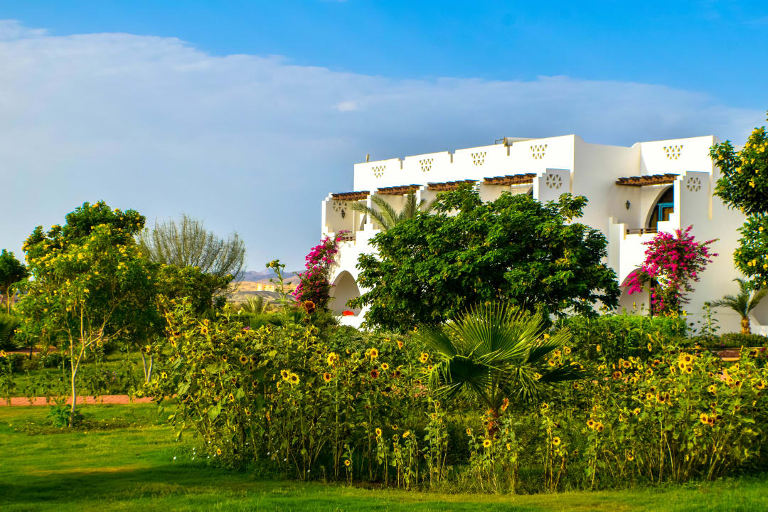 Gartenanlage Three Corners Equinox Beach Resort