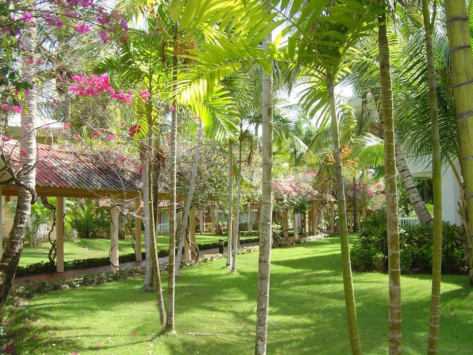 Gartenanlage Hotel Grand Palladium Palace Resort, Spa & Casino