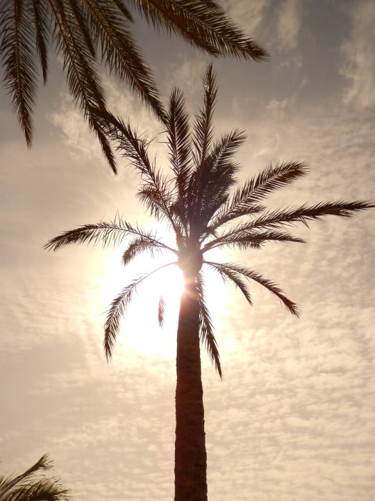 Palme SBH Costa Calma Beach Resort