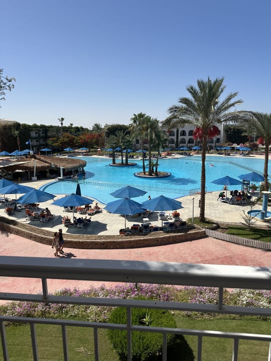 Ausblick Desert Rose