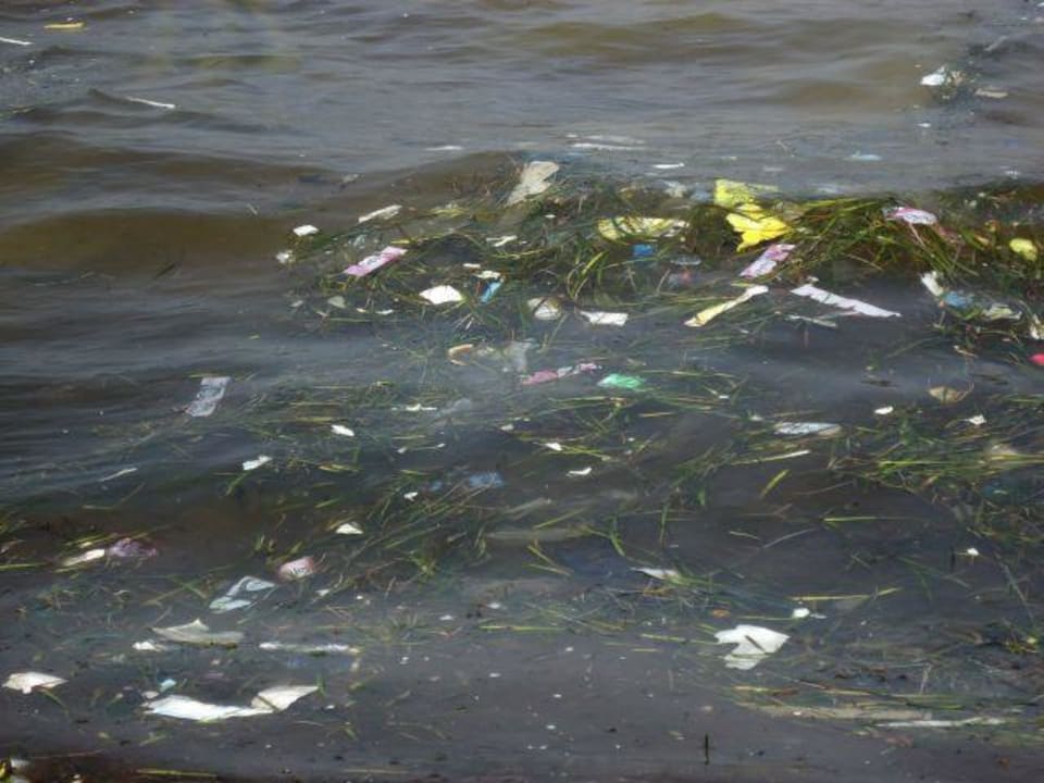 Dieser Gestank Marhaba Royal Salem