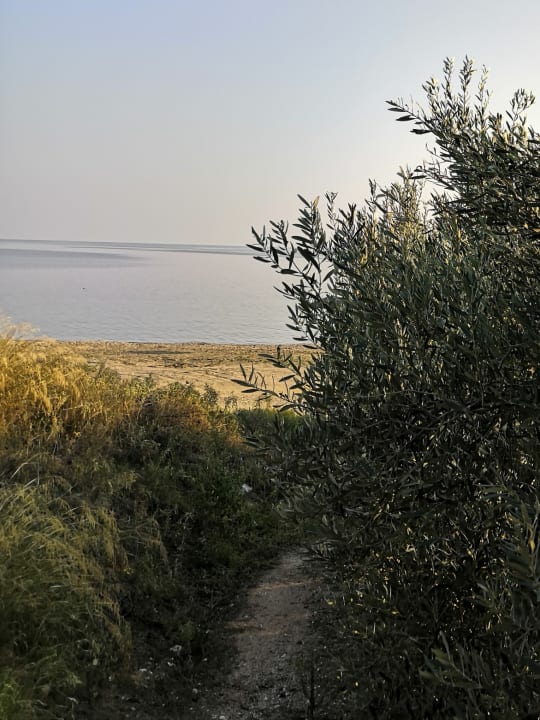 Ausblick Philoxenia Hotel