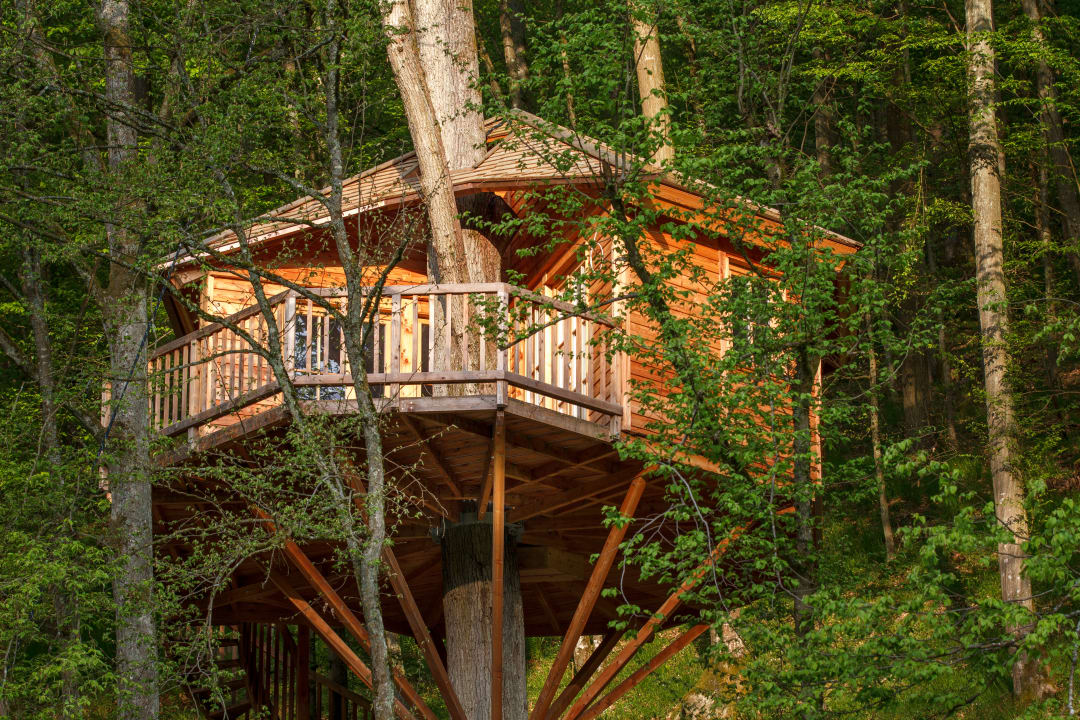 Außenansicht Baumhaushotel Seemühle