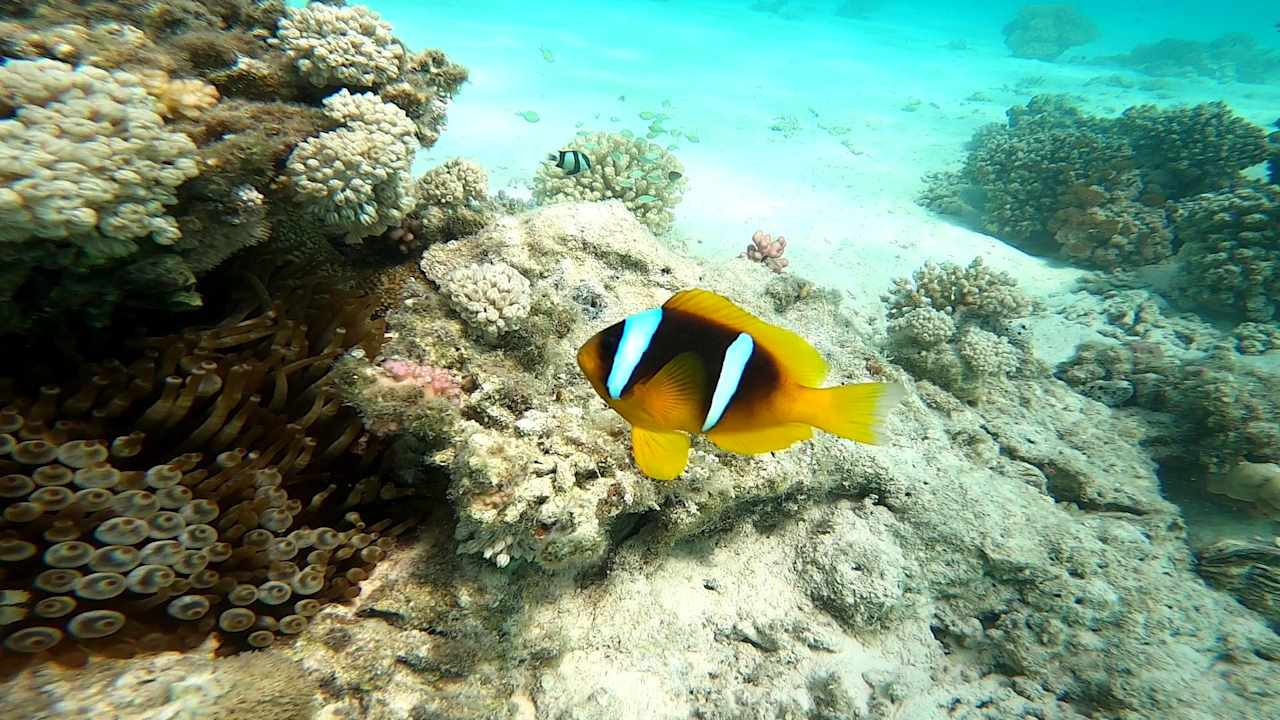 Sonstiges Pickalbatros Villaggio Resort - Portofino